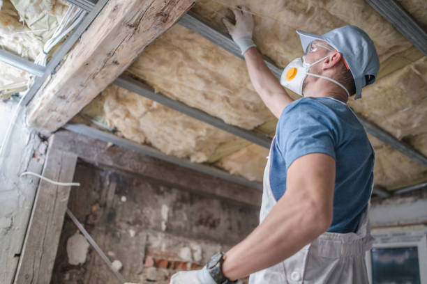 Best Specialized Insulation Services in Druid Hills, GA