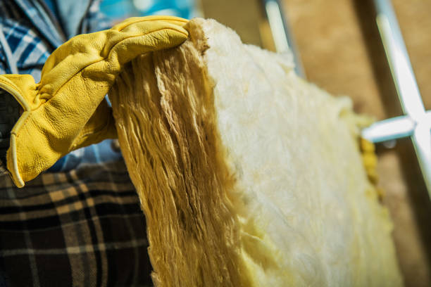 Best Spray Foam Insulation in Druid Hills, GA