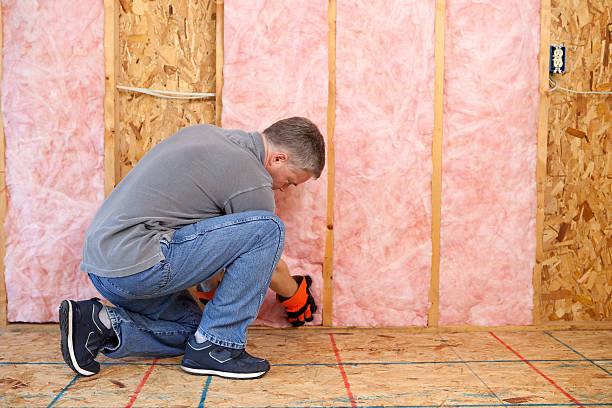 Best Geographic-Specific Insulation Services in Druid Hills, GA