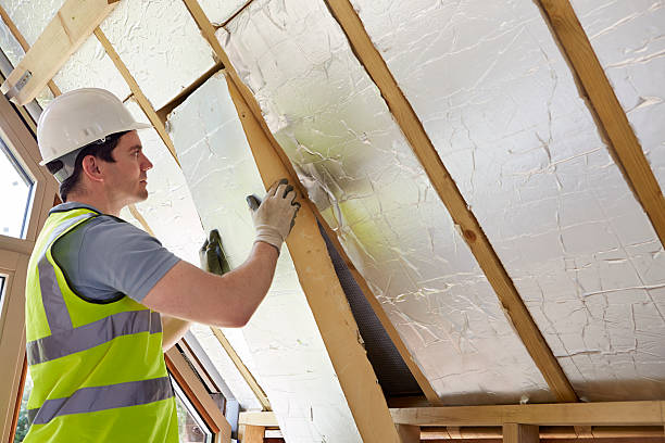 Best Eco-Friendly Insulation in Druid Hills, GA