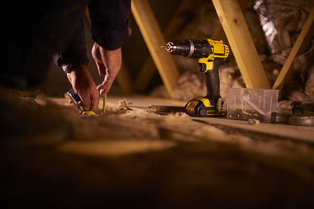 Best Cellulose Insulation in Druid Hills, GA