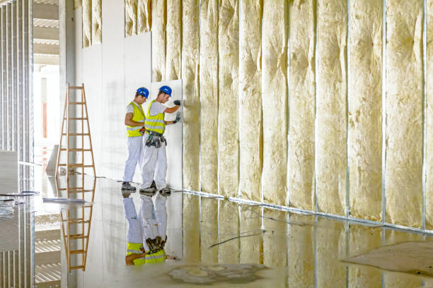 Best Insulation Maintenance and Repair in Druid Hills, GA